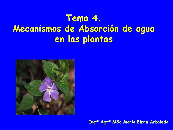 Tema 4. Mecanismos de Absorción de agua en las plantas Ingº Agrº MSc María