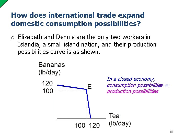 How does international trade expand domestic consumption possibilities? o Elizabeth and Dennis are the