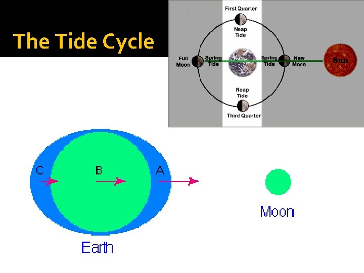 The Tide Cycle 