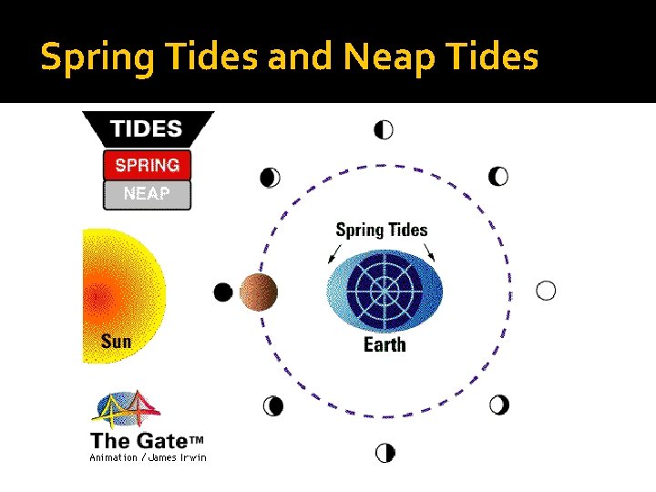 Spring Tides and Neap Tides 