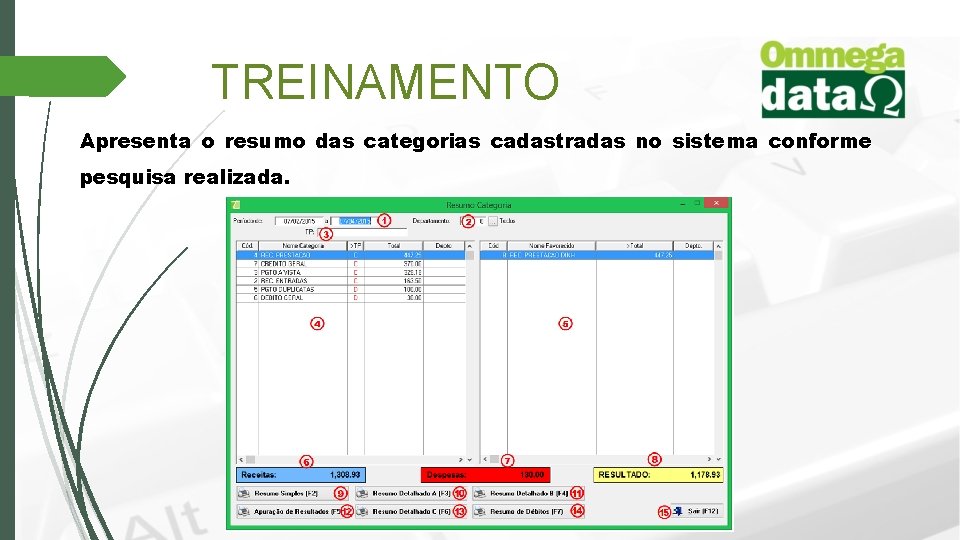 TREINAMENTO Apresenta o resumo das categorias cadastradas no sistema conforme pesquisa realizada. 