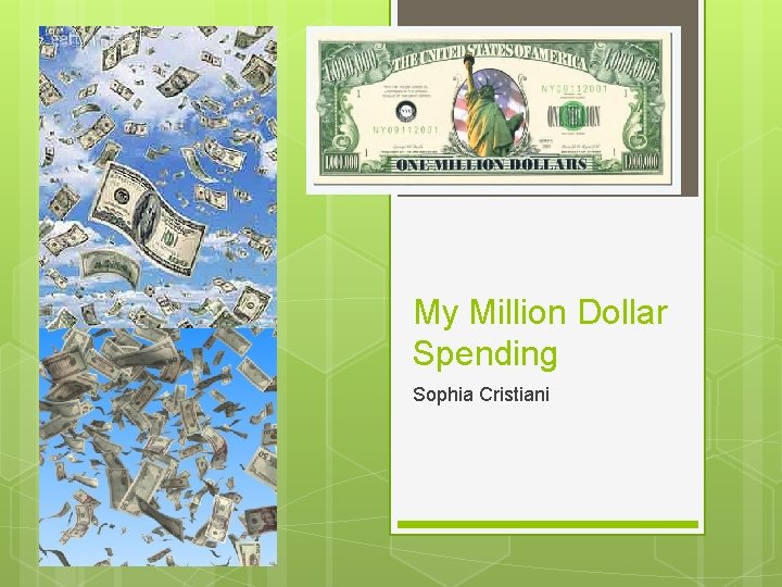 My Million Dollar Spending Sophia Cristiani 