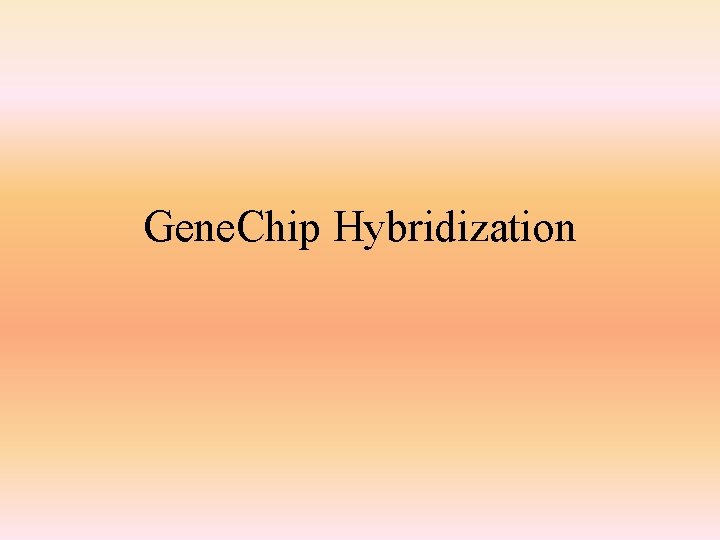 Gene. Chip Hybridization 