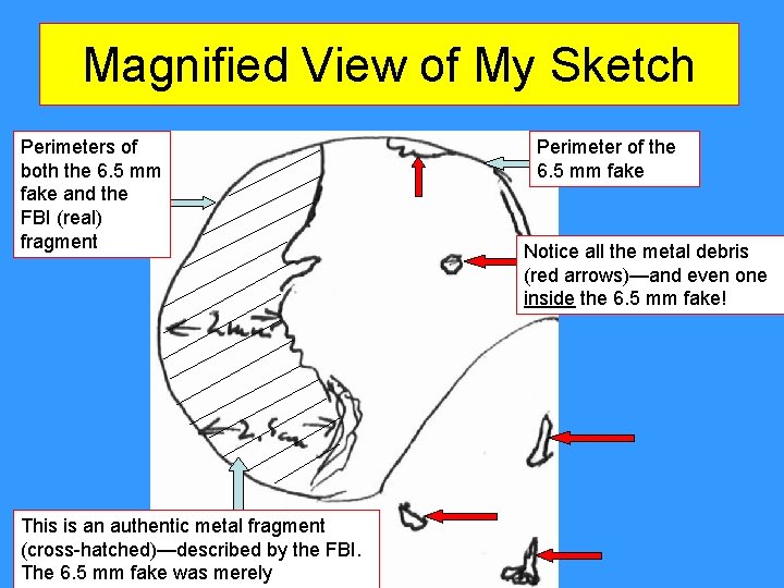 Magnified View of My Sketch Perimeters of both the 6. 5 mm fake and Magnified View of My Sketch Perimeters of both the 6. 5 mm fake and