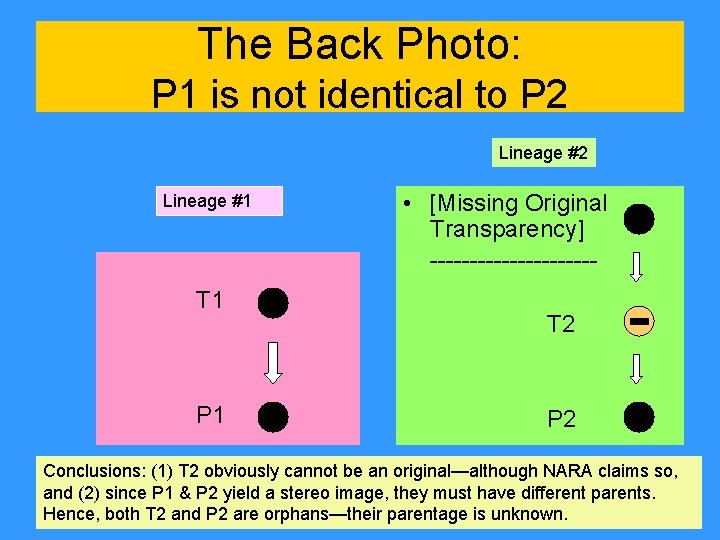 The Back Photo: P 1 is not identical to P 2 Lineage #1 T The Back Photo: P 1 is not identical to P 2 Lineage #1 T