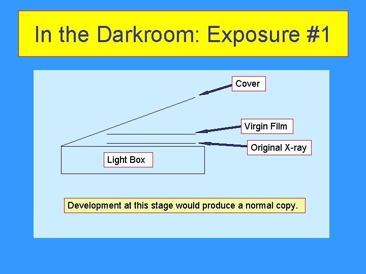 In the Darkroom: Exposure #1 Cover Virgin Film Original X-ray Light Box Development at In the Darkroom: Exposure #1 Cover Virgin Film Original X-ray Light Box Development at