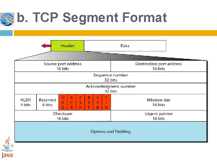 b. TCP Segment Format 