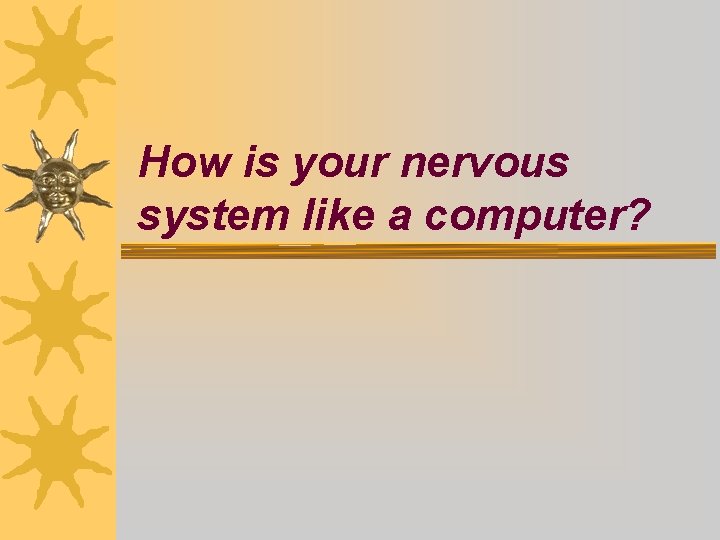 How is your nervous system like a computer? 