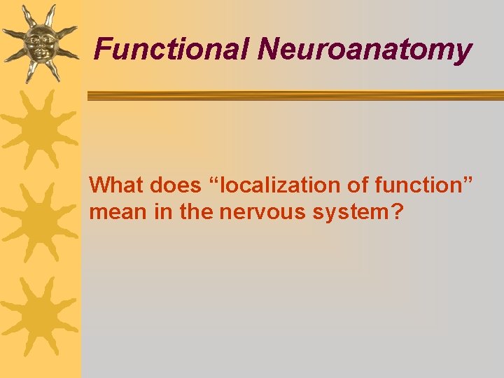Functional Neuroanatomy What does “localization of function” mean in the nervous system? 