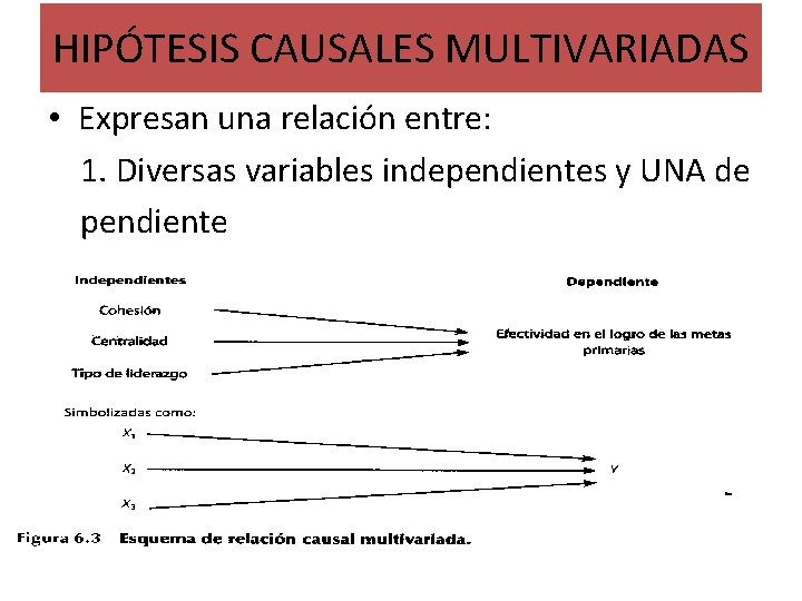 HIPÓTESIS CAUSALES MULTIVARIADAS • Expresan una relación entre: 1. Diversas variables independientes y UNA