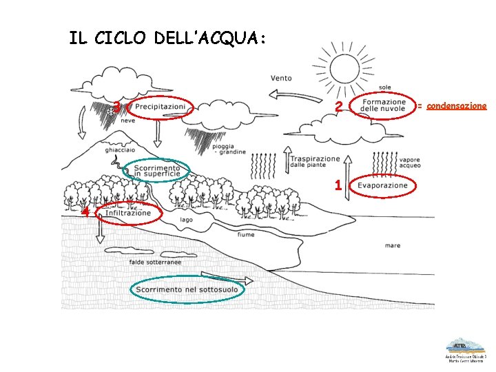 IL CICLO DELL’ACQUA: 3 2 1 4 = condensazione 