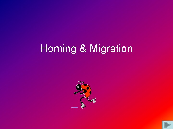 Homing & Migration 