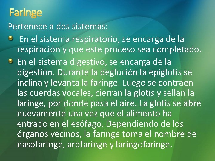 Faringe Pertenece a dos sistemas: En el sistema respiratorio, se encarga de la respiración Faringe Pertenece a dos sistemas: En el sistema respiratorio, se encarga de la respiración