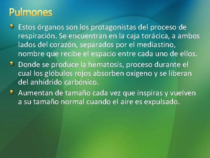 Pulmones Estos órganos son los protagonistas del proceso de respiración. Se encuentran en la Pulmones Estos órganos son los protagonistas del proceso de respiración. Se encuentran en la
