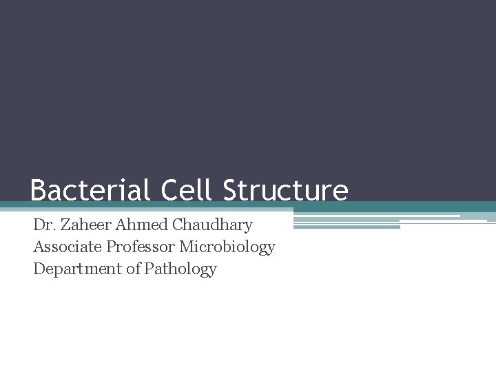 Bacterial Cell Structure Dr. Zaheer Ahmed Chaudhary Associate Professor Microbiology Department of Pathology 