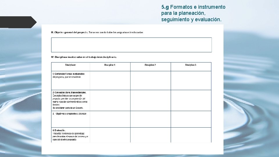 5. g Formatos e instrumento para la planeación, seguimiento y evaluación. 