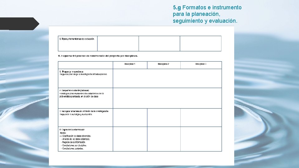 5. g Formatos e instrumento para la planeación, seguimiento y evaluación. 