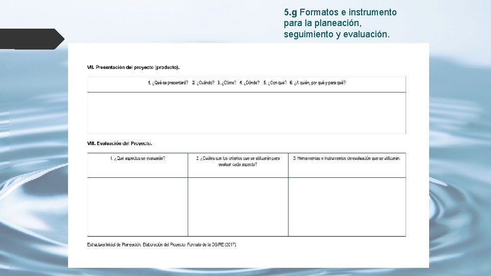 5. g Formatos e instrumento para la planeación, seguimiento y evaluación. 