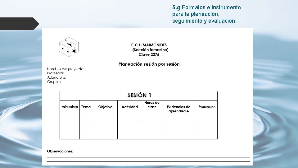 5. g Formatos e instrumento para la planeación, seguimiento y evaluación. 