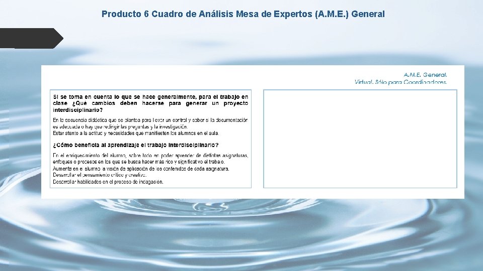 Producto 6 Cuadro de Análisis Mesa de Expertos (A. M. E. ) General 