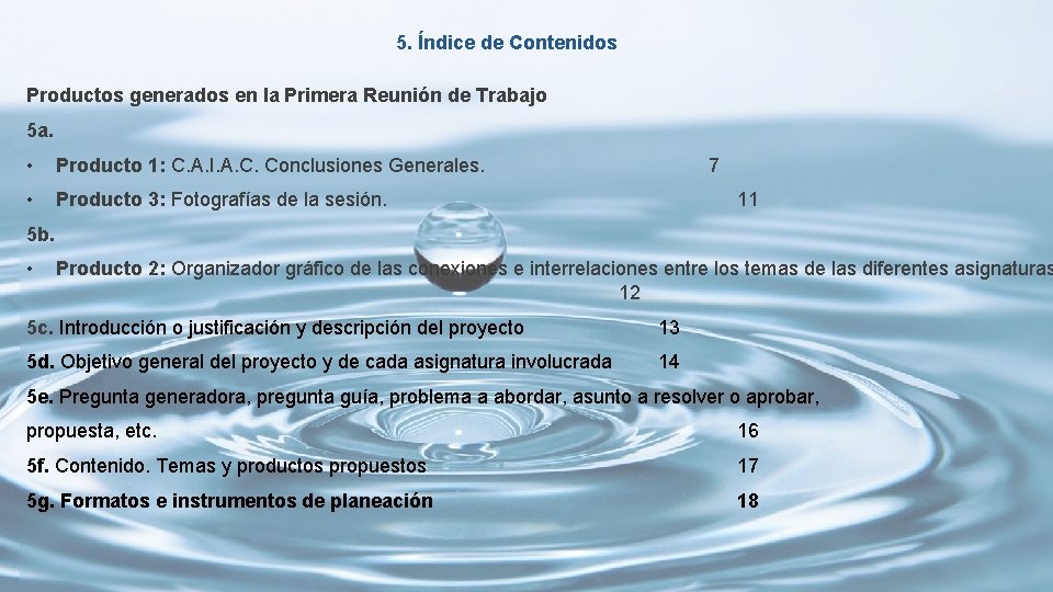 5. Índice de Contenidos Productos generados en la Primera Reunión de Trabajo 5 a.