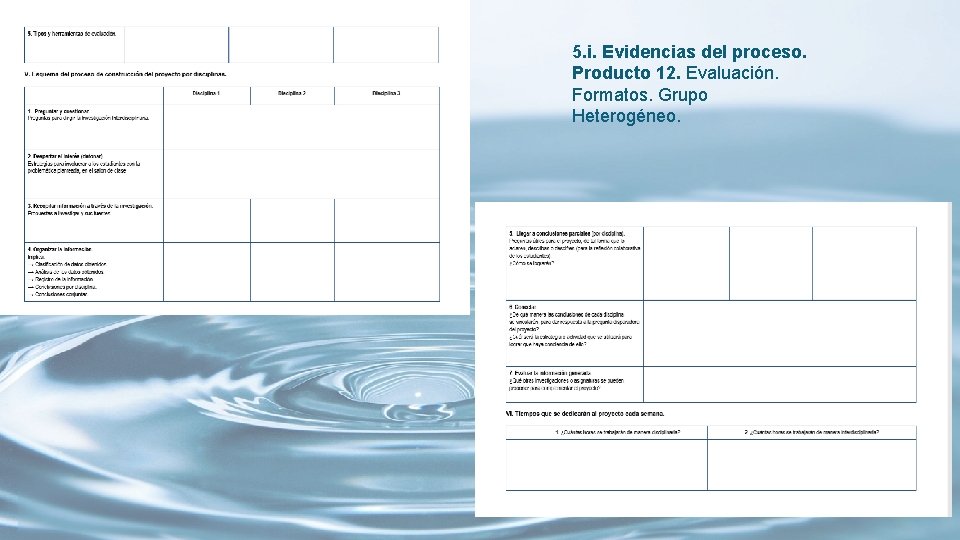 5. i. Evidencias del proceso. Producto 12. Evaluación. Formatos. Grupo Heterogéneo. 