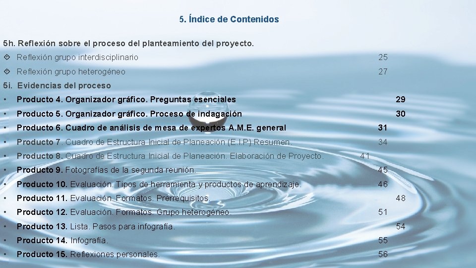 5. Índice de Contenidos 5 h. Reflexión sobre el proceso del planteamiento del proyecto.