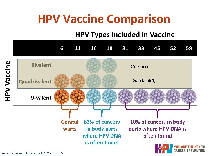 HPV Vaccine Comparison Cervarix Gardasil(4) Genital 63% of cancers warts in body parts where HPV Vaccine Comparison Cervarix Gardasil(4) Genital 63% of cancers warts in body parts where
