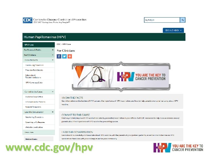 www. cdc. gov/hpv www. cdc. gov/hpv
