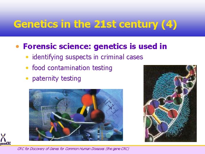 Genetics in the 21 st century (4) • Forensic science: genetics is used in
