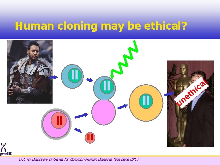 Human cloning may be ethical? l ES cell lines: a ic tissuehfor transplantation et