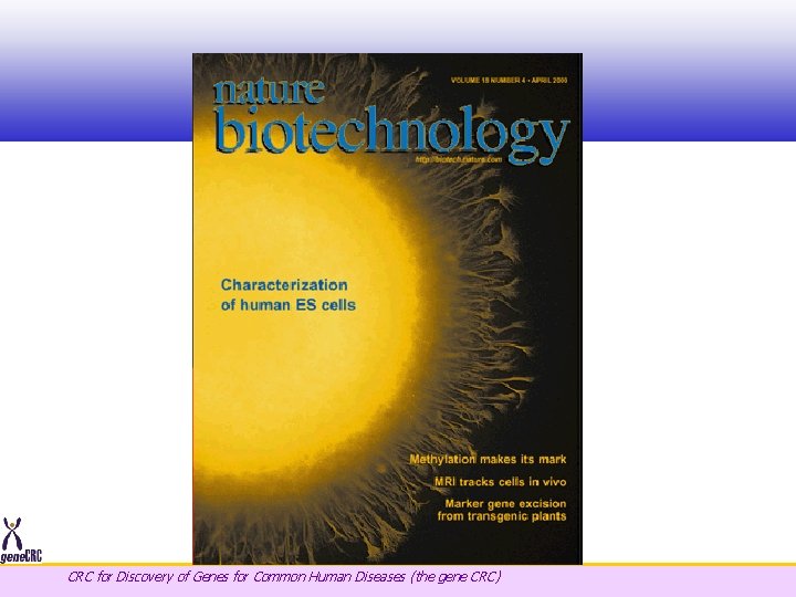 CRC for Discovery of Genes for Common Human Diseases (the gene CRC) 