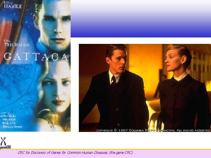 CRC for Discovery of Genes for Common Human Diseases (the gene CRC) 