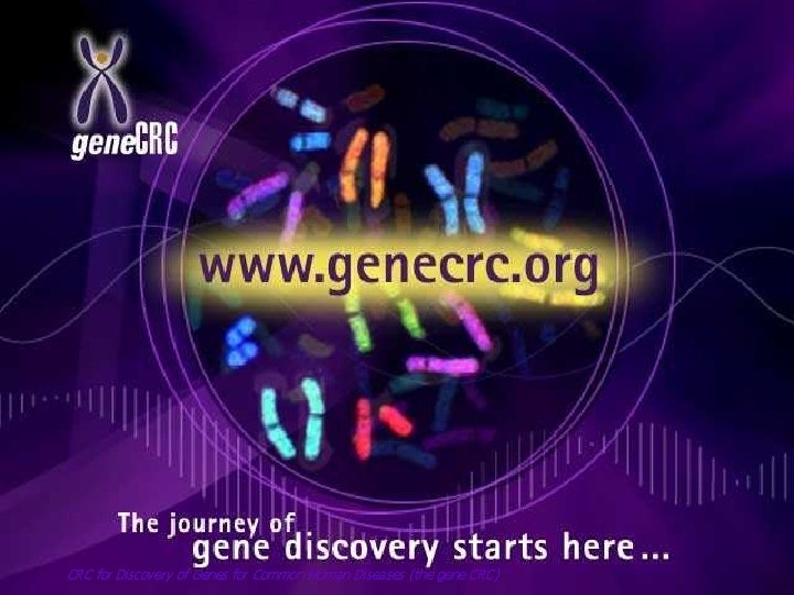 CRC for Discovery of Genes for Common Human Diseases (the gene CRC) 