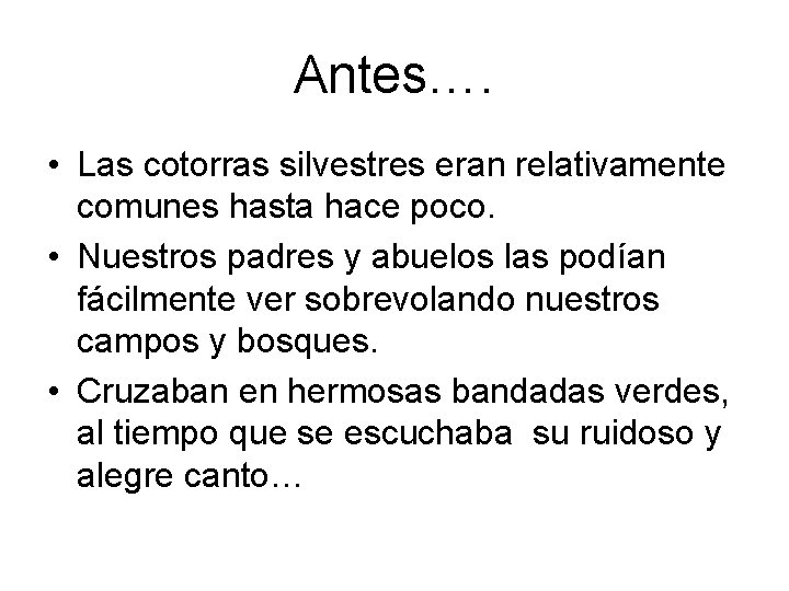 Antes…. • Las cotorras silvestres eran relativamente comunes hasta hace poco. • Nuestros padres