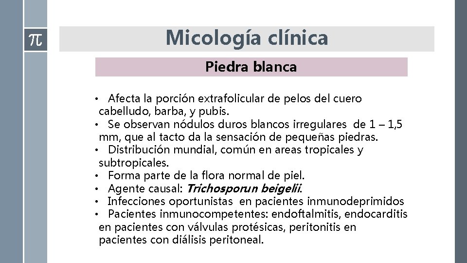 Micología clínica Piedra blanca • Afecta la porción extrafolicular de pelos del cuero cabelludo, Micología clínica Piedra blanca • Afecta la porción extrafolicular de pelos del cuero cabelludo,