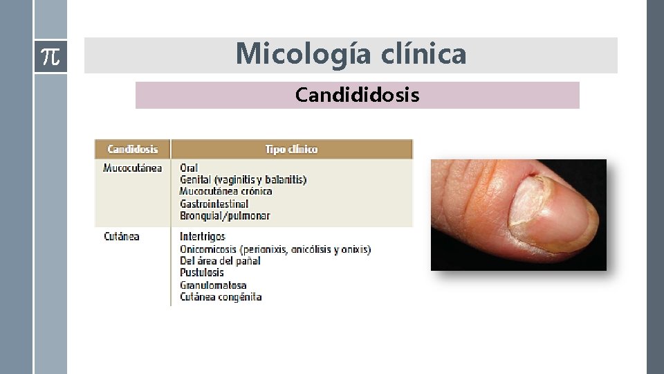 Micología clínica Candididosis Micología clínica Candididosis