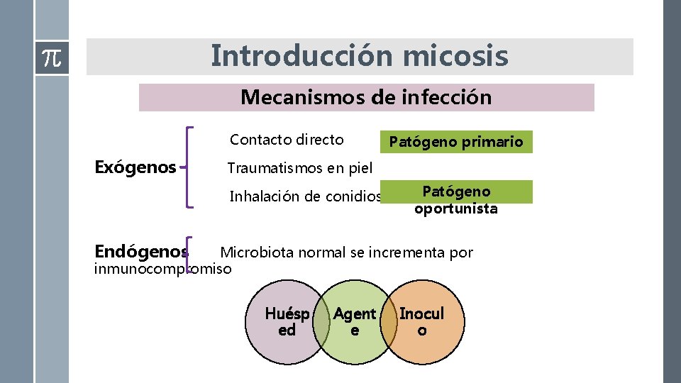 Introducción micosis Mecanismos de infección Contacto directo Exógenos Patógeno primario Traumatismos en piel Inhalación Introducción micosis Mecanismos de infección Contacto directo Exógenos Patógeno primario Traumatismos en piel Inhalación