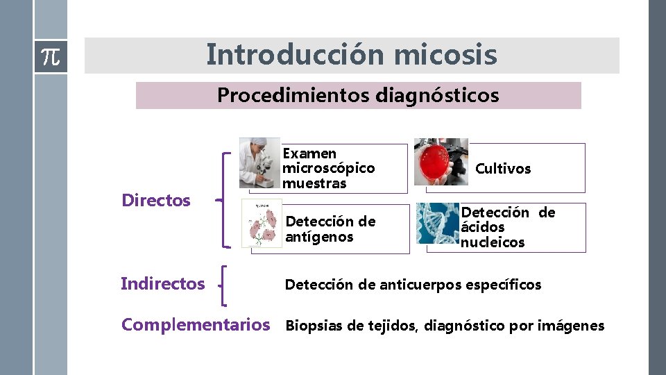 Introducción micosis Procedimientos diagnósticos Directos Examen microscópico muestras Detección de antígenos Indirectos Cultivos Detección Introducción micosis Procedimientos diagnósticos Directos Examen microscópico muestras Detección de antígenos Indirectos Cultivos Detección