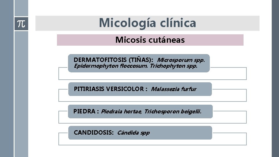 Micología clínica Micosis cutáneas DERMATOFITOSIS (TIÑAS): Microsporum spp. Epidermophyton floccosum. Trichophyton spp. PITIRIASIS VERSICOLOR Micología clínica Micosis cutáneas DERMATOFITOSIS (TIÑAS): Microsporum spp. Epidermophyton floccosum. Trichophyton spp. PITIRIASIS VERSICOLOR