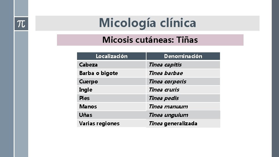 Micología clínica Micosis cutáneas: Tiñas Localización Denominación Cabeza Tinea capitis Barba o bigote Tinea Micología clínica Micosis cutáneas: Tiñas Localización Denominación Cabeza Tinea capitis Barba o bigote Tinea