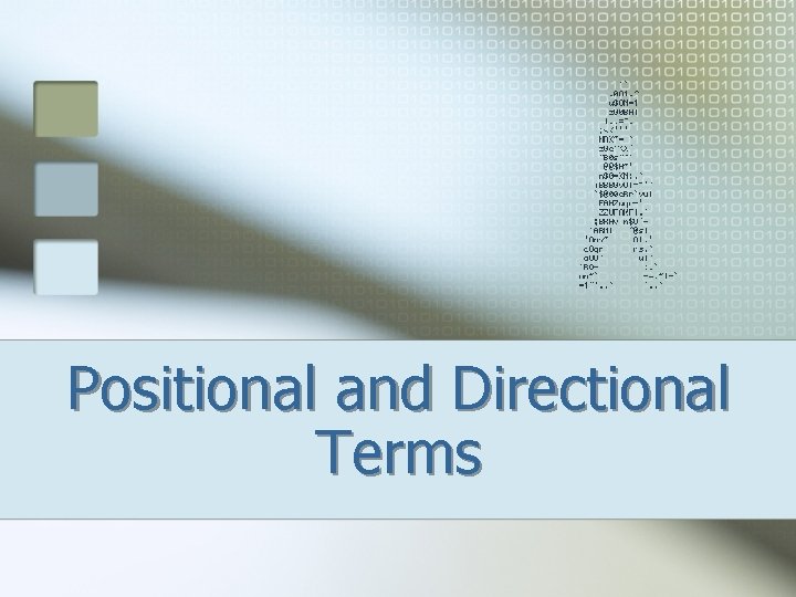 Positional and Directional Terms 