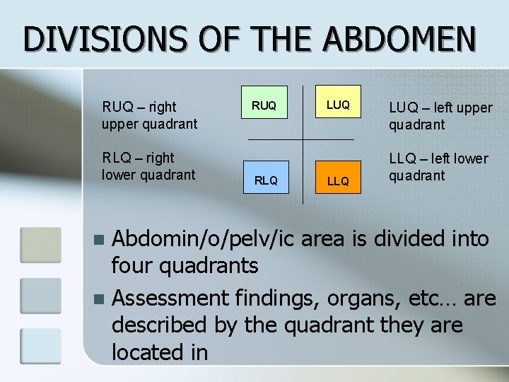 DIVISIONS OF THE ABDOMEN RUQ – right upper quadrant RLQ – right lower quadrant