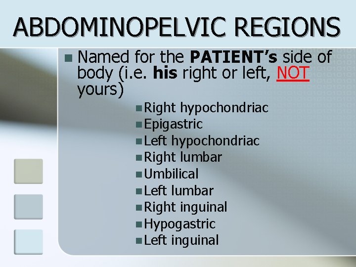 ABDOMINOPELVIC REGIONS n Named for the PATIENT’s side of body (i. e. his right