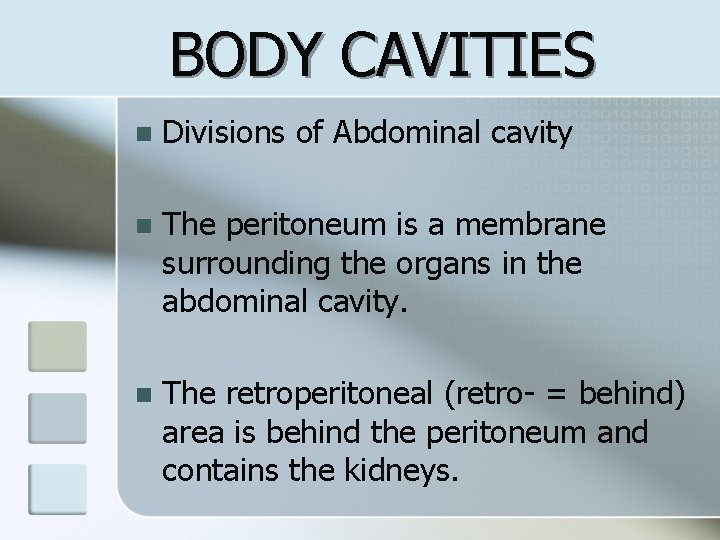 BODY CAVITIES n Divisions of Abdominal cavity n The peritoneum is a membrane surrounding