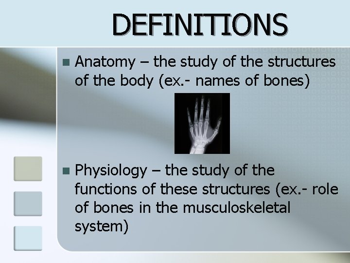 DEFINITIONS n Anatomy – the study of the structures of the body (ex. -