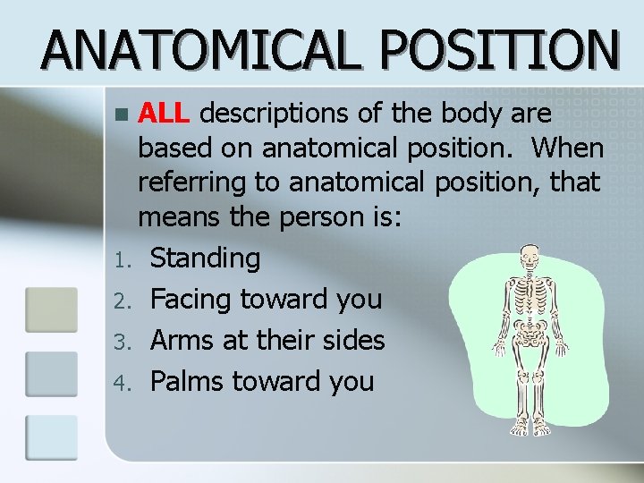 ANATOMICAL POSITION ALL descriptions of the body are based on anatomical position. When referring