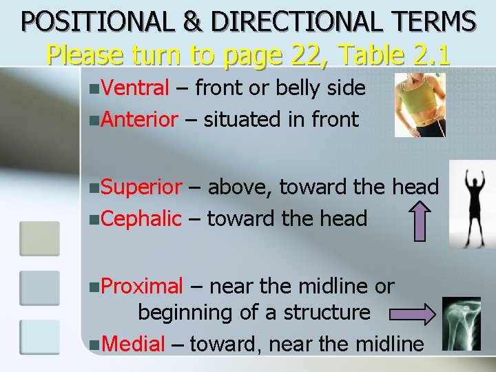 POSITIONAL & DIRECTIONAL TERMS Please turn to page 22, Table 2. 1 n. Ventral