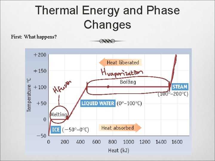 Thermal Energy and Phase Changes First: What happens? 