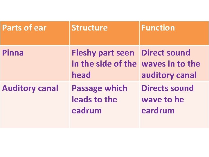 Parts of ear Structure Function Pinna Fleshy part seen in the side of the